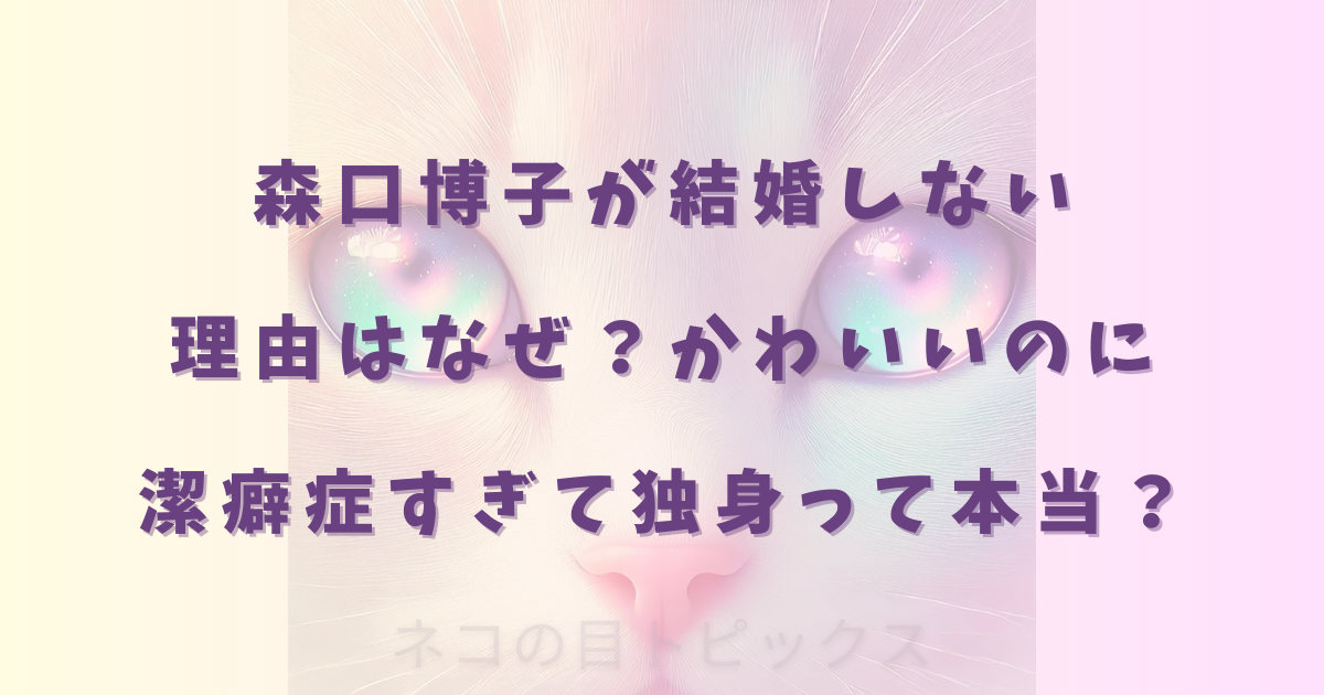 森口博子が結婚しない理由はなぜ?かわいいのに潔癖症すぎて独身って本当?