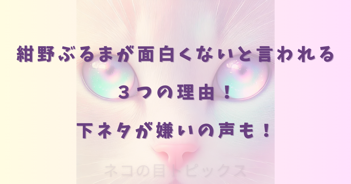 紺野ぶるまが面白くないと言われる３つの理由！下ネタが嫌いの声も！