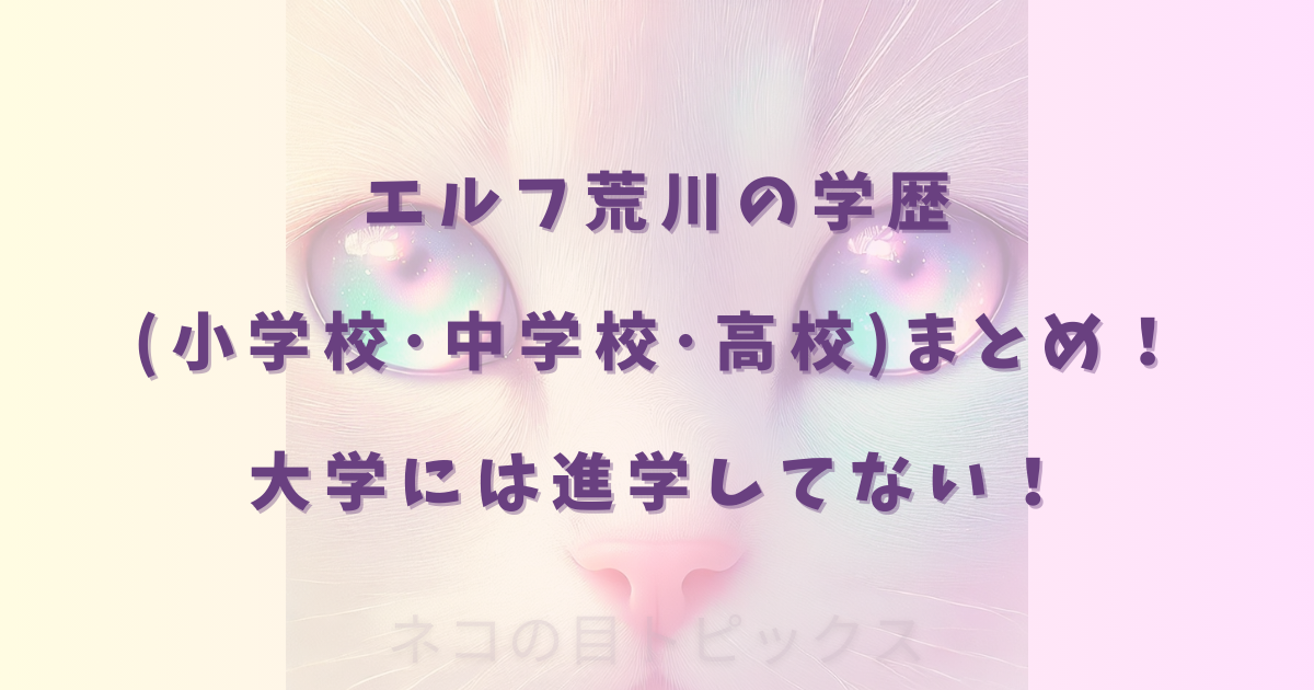 エルフ荒川の学歴(小学校・中学校・高校)まとめ!大学には進学してない!