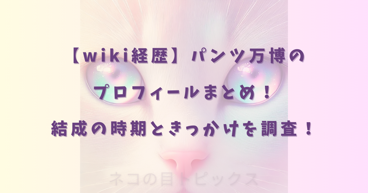 【wiki経歴】パンツ万博のプロフィールまとめ！結成の時期ときっかけを調査！