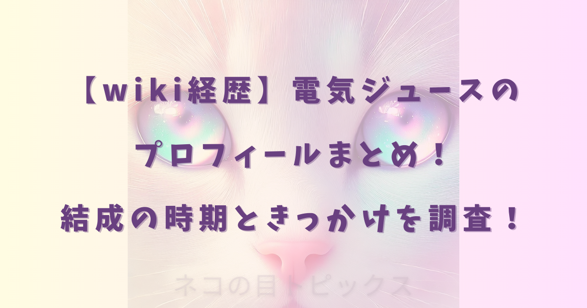 【wiki経歴】電気ジュースのプロフィールまとめ！結成の時期ときっかけを調査！
