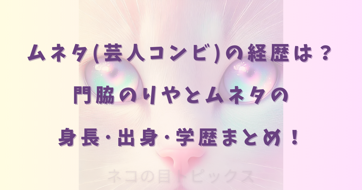 ムネタ(芸人コンビ)の経歴は？門脇のりやとムネタの身長･出身･学歴まとめ！