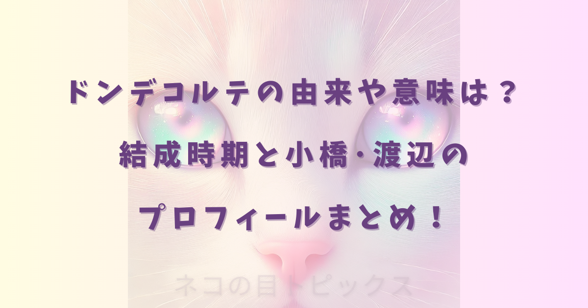 ドンデコルテの由来や意味は?結成時期と小橋・渡辺のプロフィールまとめ!