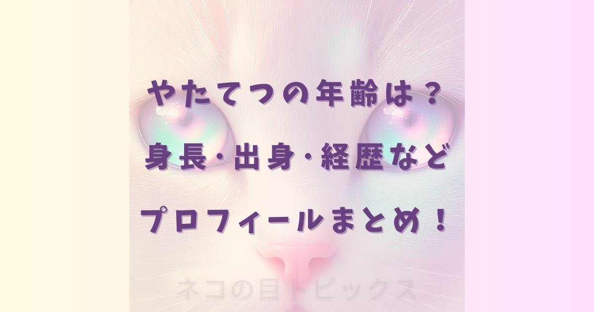 やたてつの年齢は？身長･出身･経歴などプロフィールまとめ！【マツコの知らない世界】