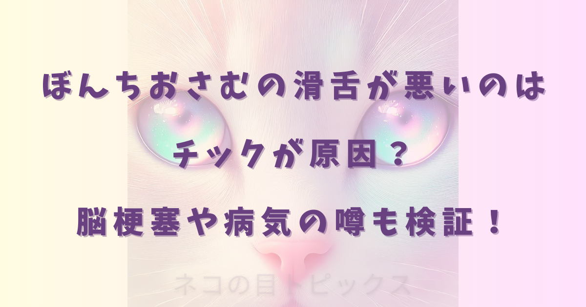 ぼんちおさむの滑舌が悪いのはチックが原因？脳梗塞や病気の噂も検証！