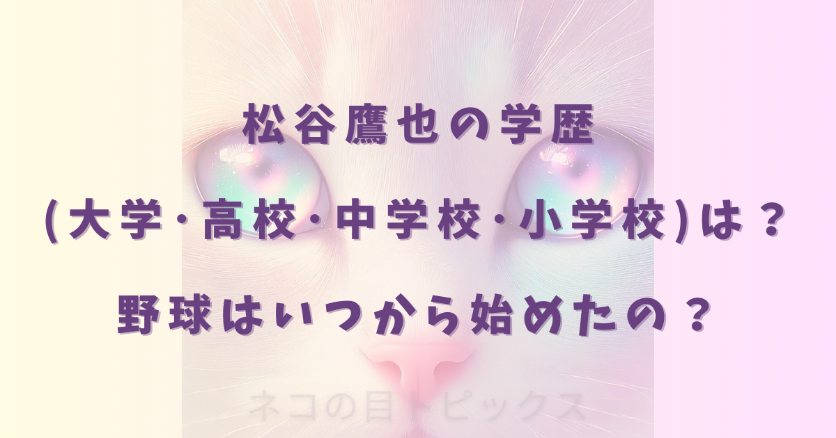 松谷鷹也の学歴(大学･高校･中学校･小学校)は？野球はいつから始めたの？