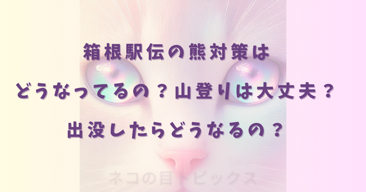 箱根駅伝の熊対策はどうなってるの?山登りは大丈夫?出没したらどうなるの?