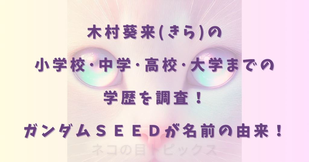 木村葵来(きら)の 小学校･中学･高校･大学までの 学歴を調査！ ガンダムＳＥＥＤが名前の由来！