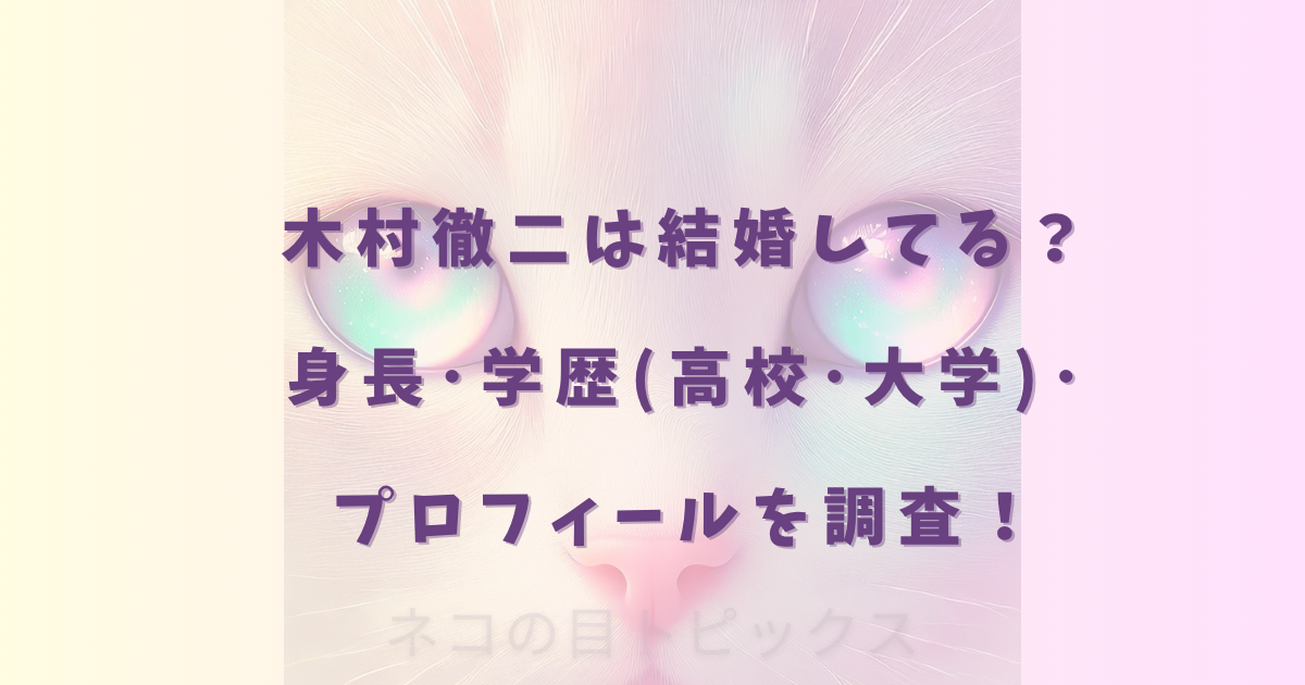 kimura-tetsuji-profile